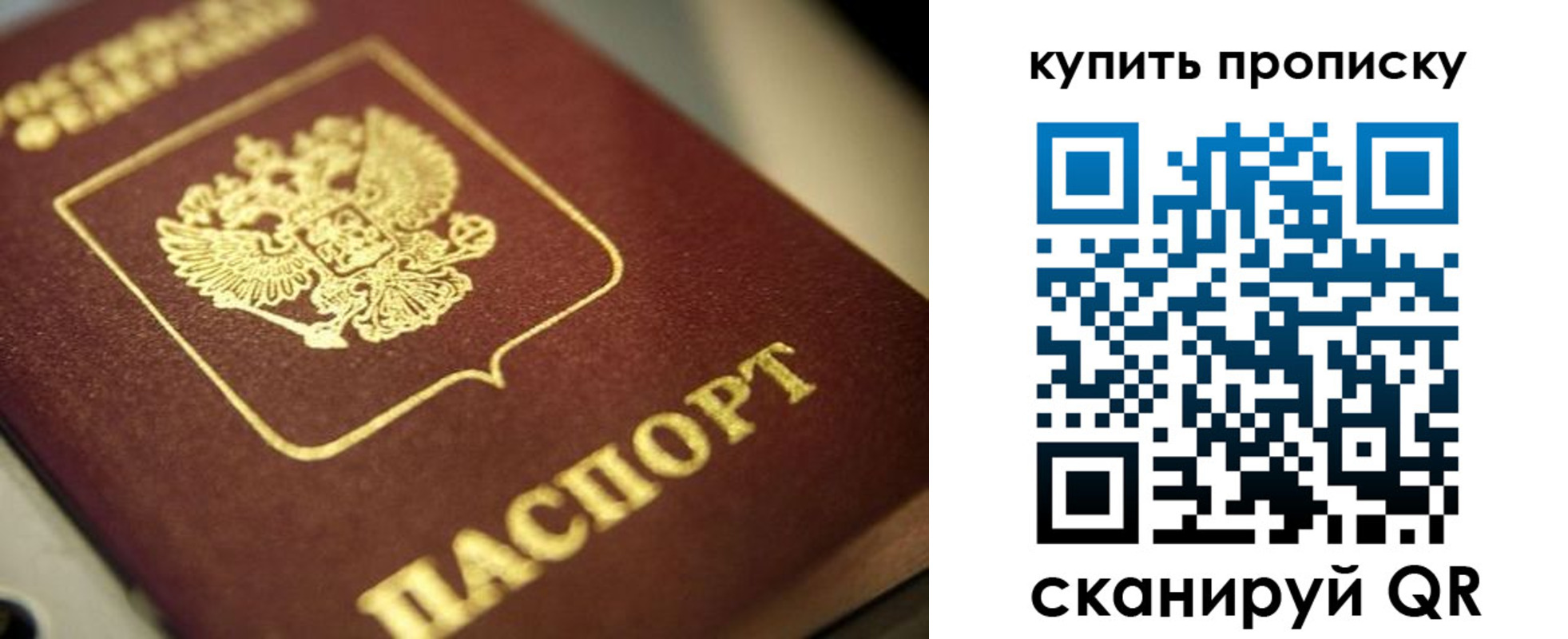 прописка поиск в Гусь-Хрустальном